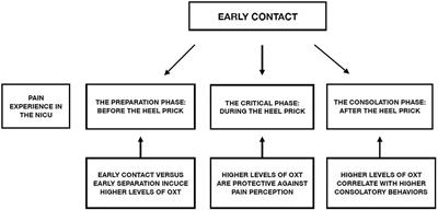 Pain, Parental Involvement, and Oxytocin in the Neonatal Intensive Care Unit